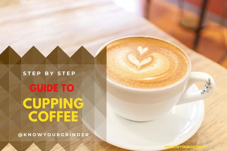 Step by Step Guide to Cupping Coffee