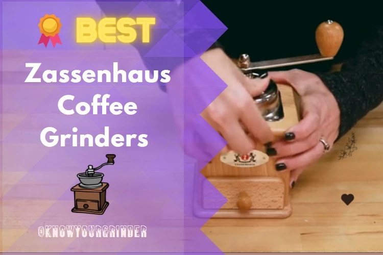 Top 5 Best Zassenhaus Coffee Grinder Reviews 2022
