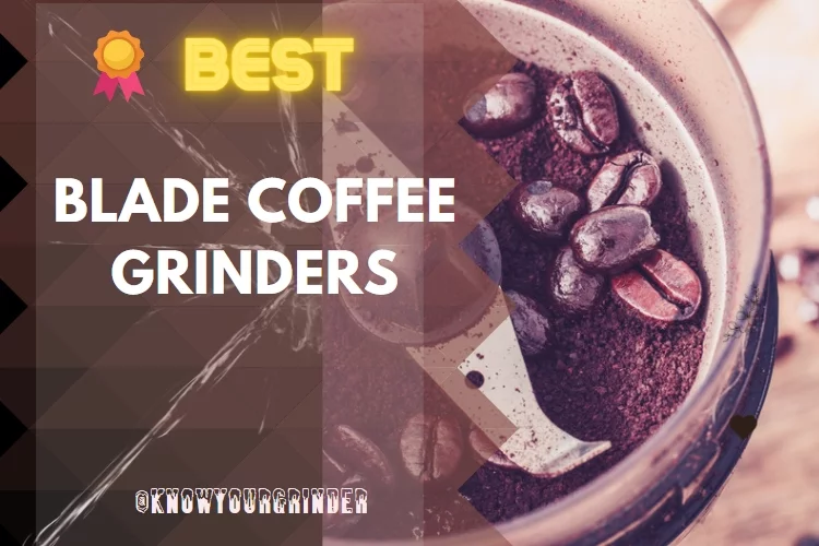 Top 6 Best Blade Coffee Grinder Reviews in 2022
