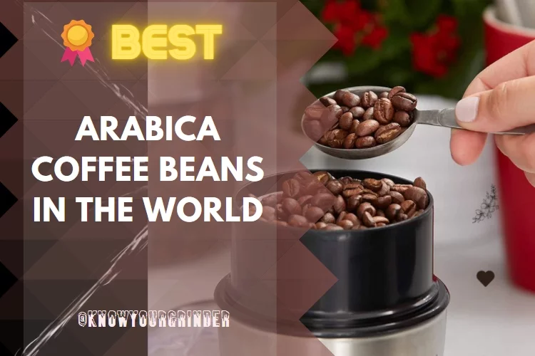 Top 5 Best Arabica Coffee Bean Reviews 2022