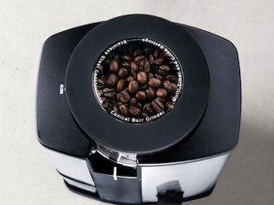 Breville Burr Grinder