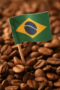 Brazil Is The Biggest Supplier Of Arabica Coffee Beans To The World