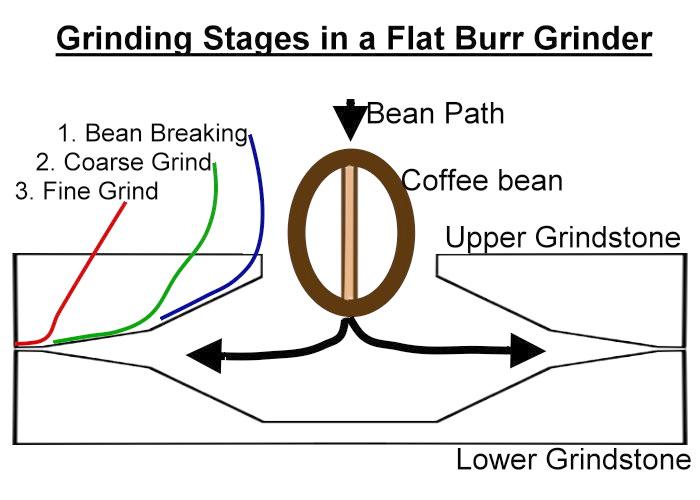 Flat Burrs