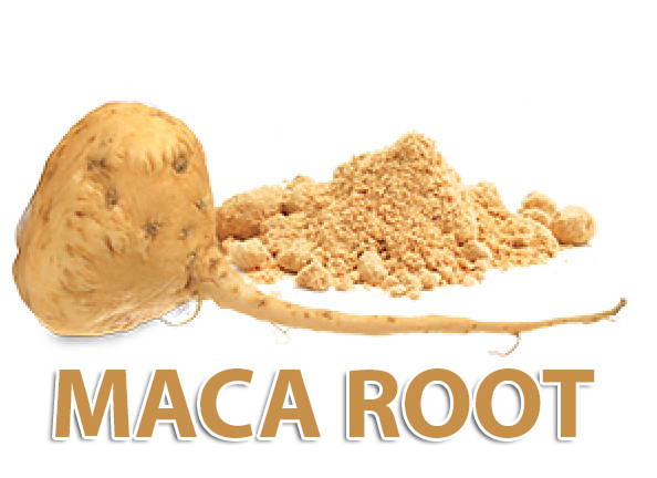 Maca Root