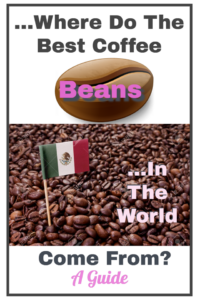 Where Do The Best Coffee Beans In The World Come From?