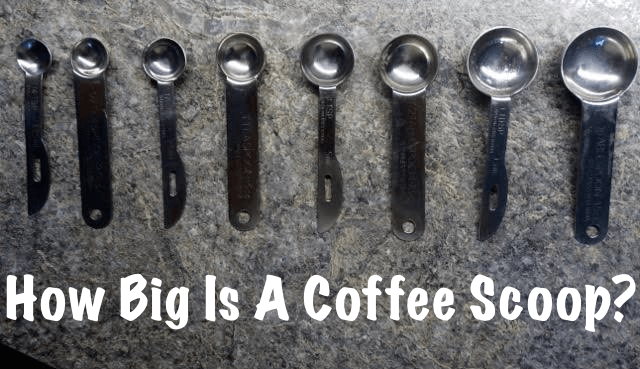 How big is a coffee scoop? 