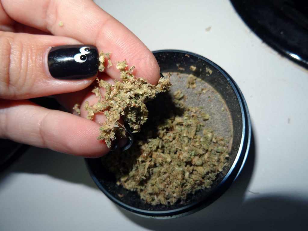 The Best Coffee Grinders For Weed Live That Kief Life!