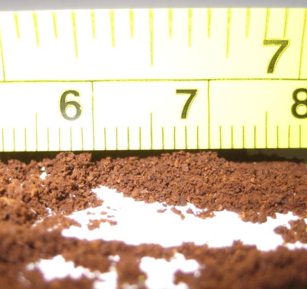 Best Conical Burr Coffee Grinder Reviews, Buying Guide and FAQs 2022