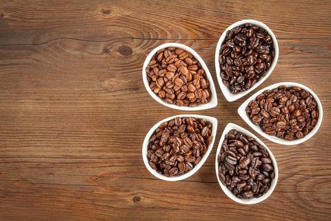 Why Does the Arabica Bean Make Such Great Coffee?