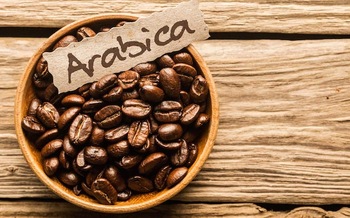 What Does 100% Arabica Beans Mean?