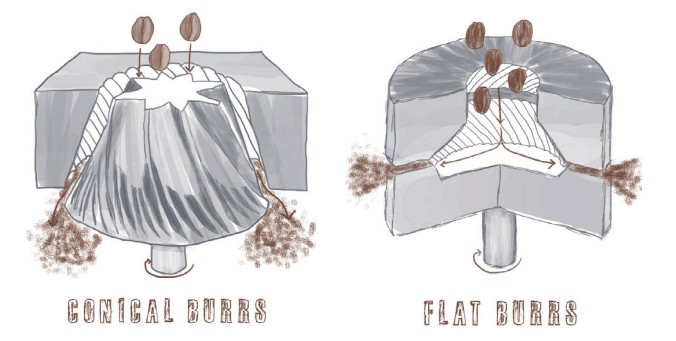 Conical VS Flat Burr Grinders
